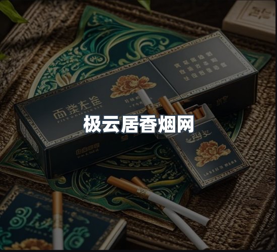 关于极云居香烟网